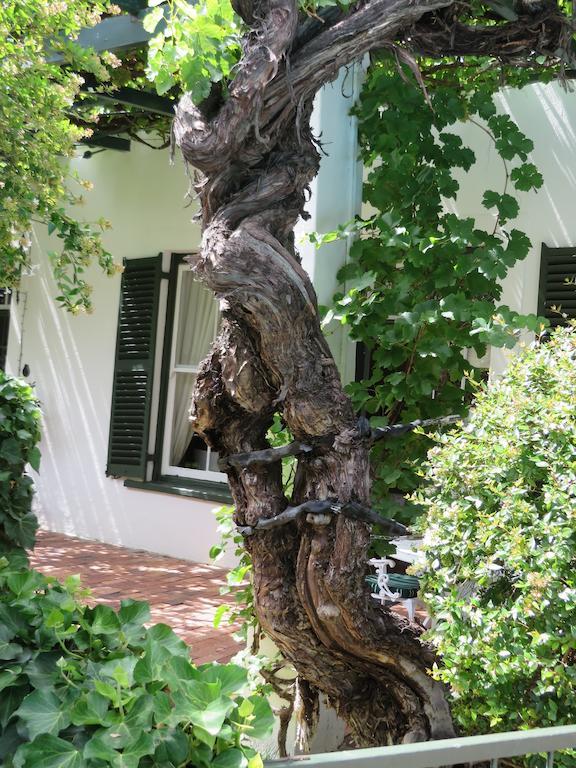 Graaff-Reinet Buiten Verwagten Guest House מראה חיצוני תמונה